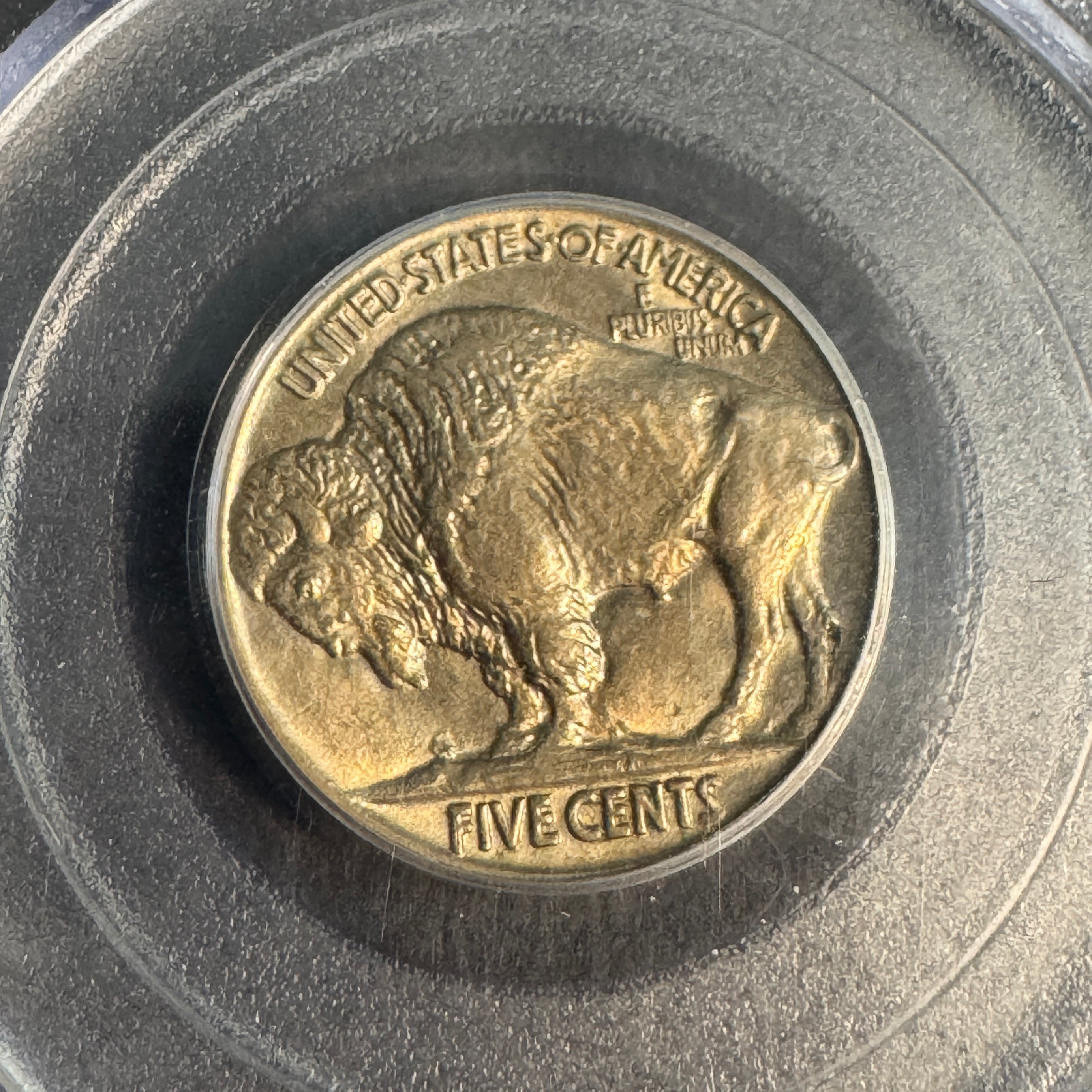 1917 (P) Buffalo Nickel 5c, PCGS MS-64
