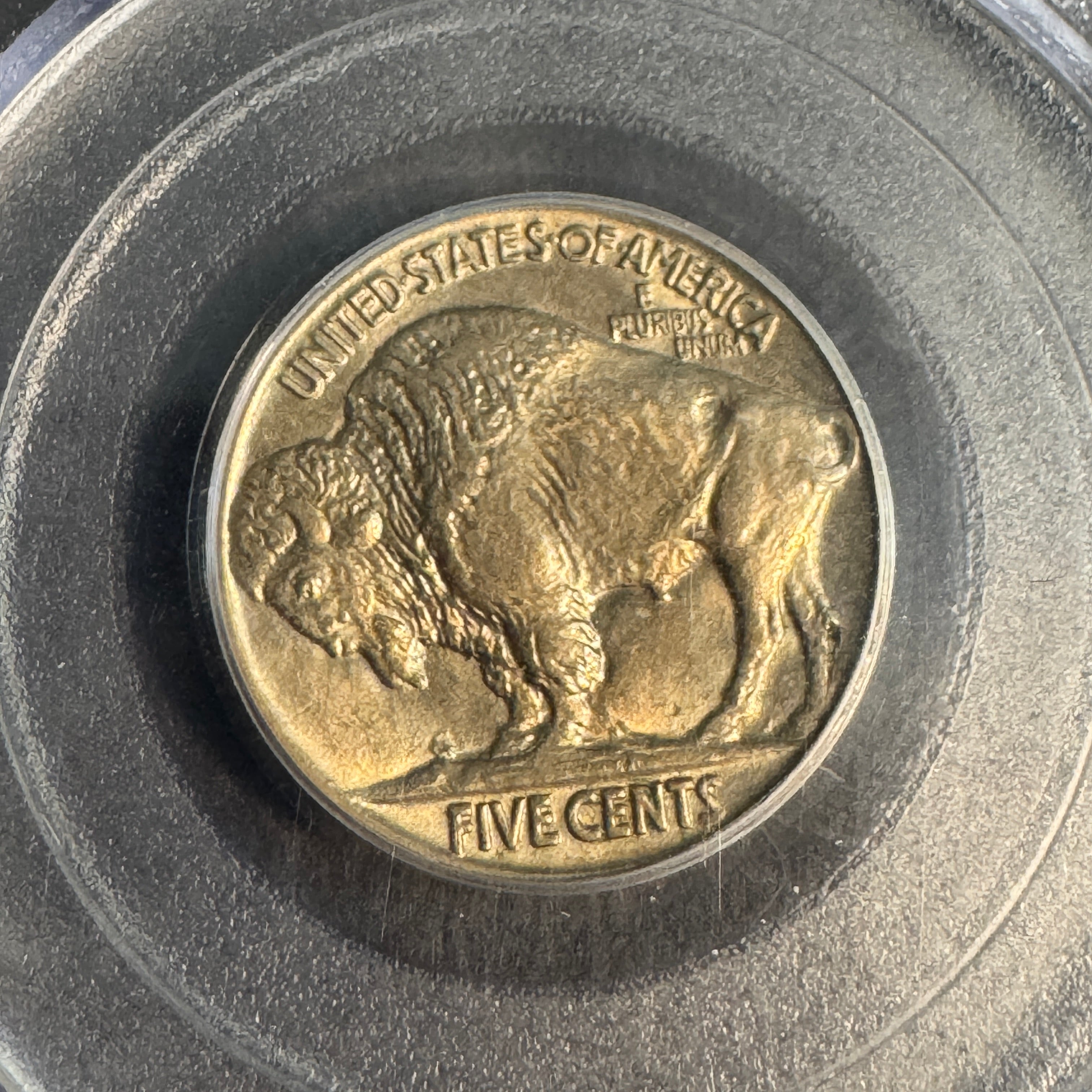 1917 (P) Buffalo Nickel 5c, PCGS MS-64