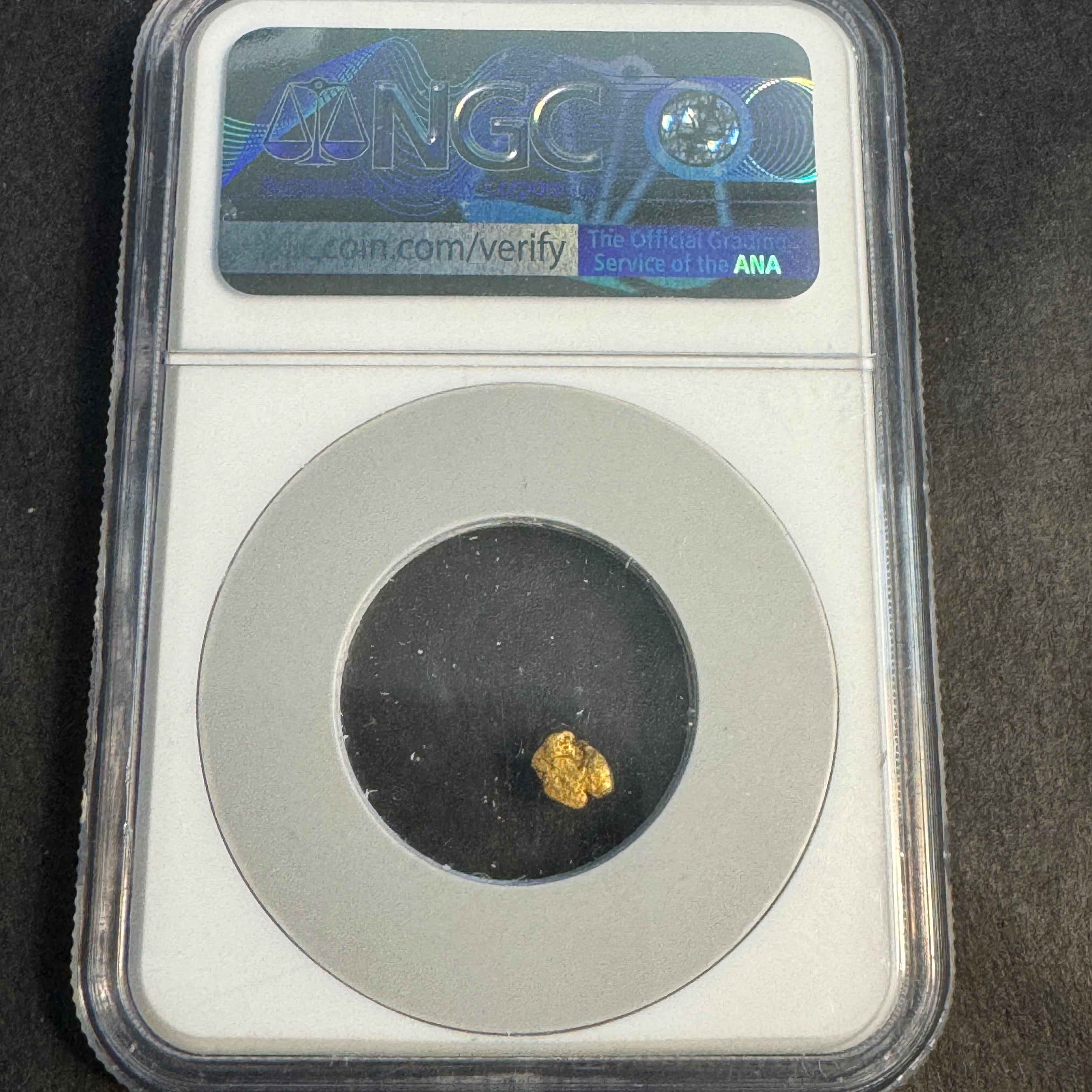 1857 SS Central America Shipwreck “California Gold Rush” 0.24g Gold Nugget, NGC Certified