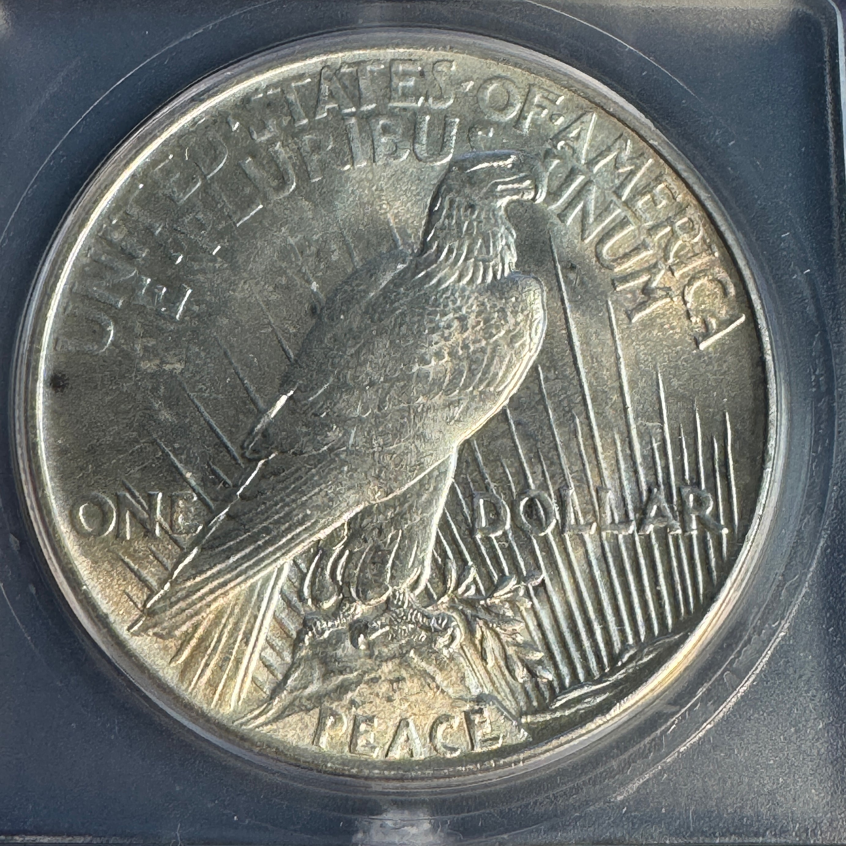 1921 (P) Peace Silver Dollar, High Relief, ICG MS-64