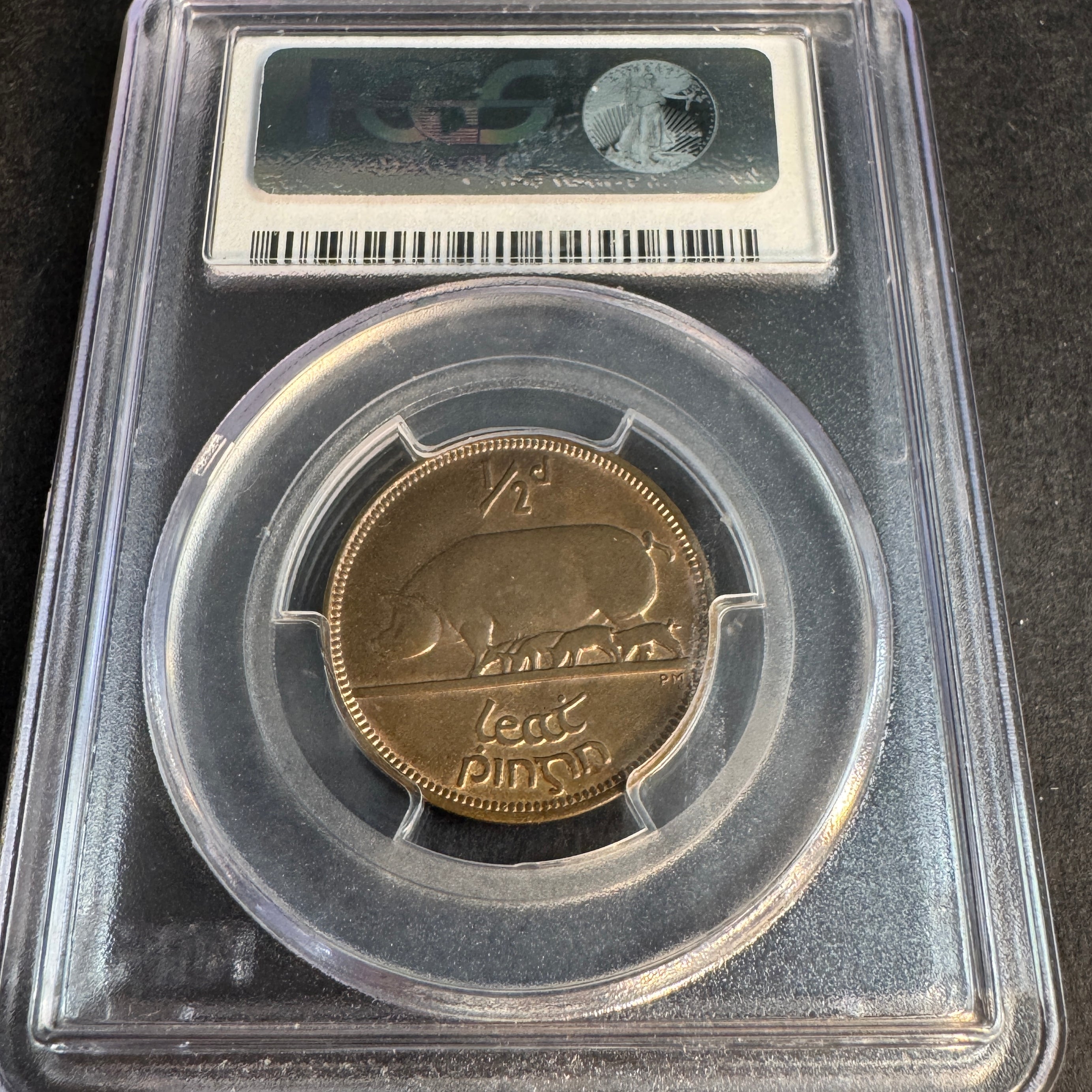 1928 Ireland Republic 1/2 Penny, Sow & Piglets, PCGS MS-64 RB 🇮🇪