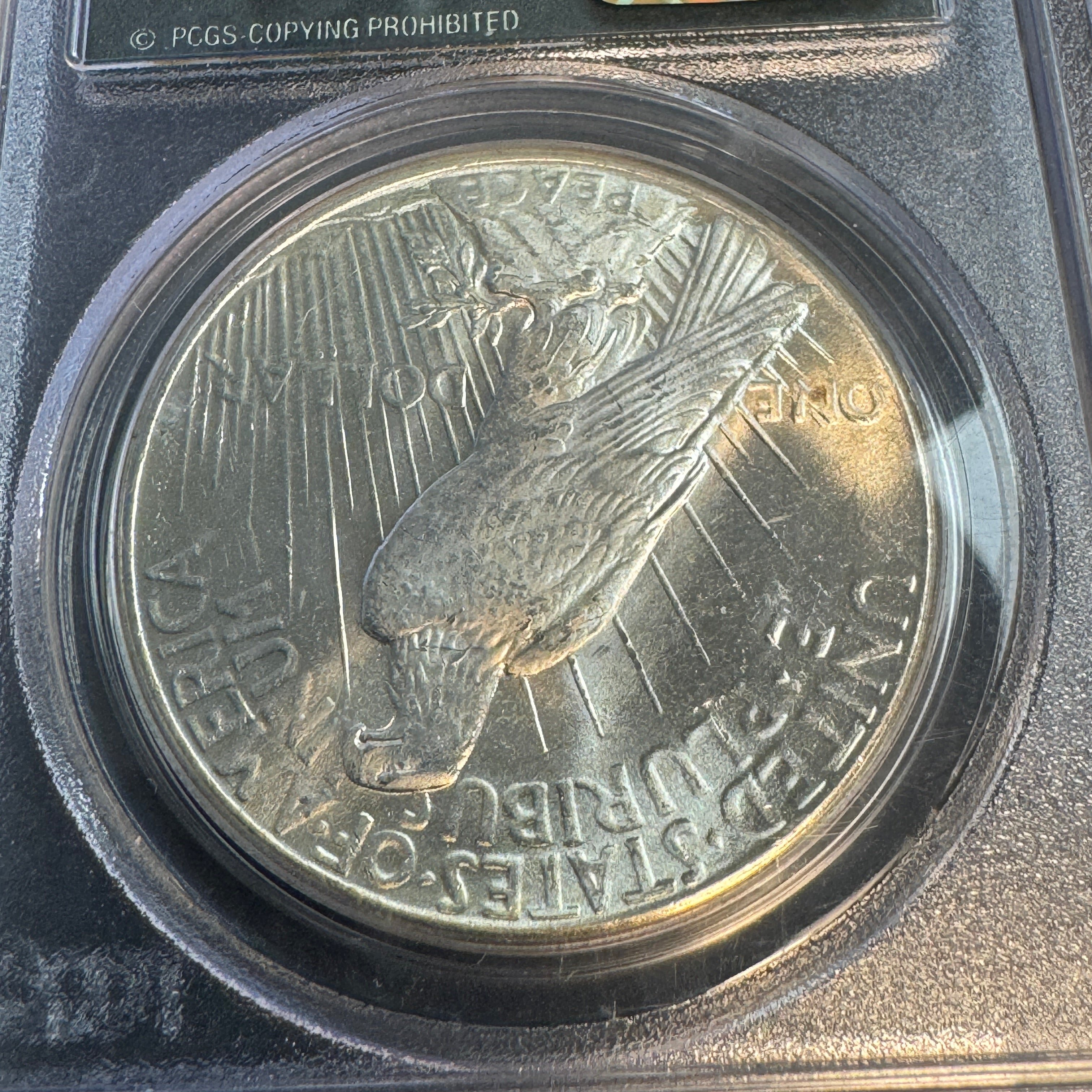 1925 (P) Peace Silver Dollar, “Old Green” PCGS MS-64