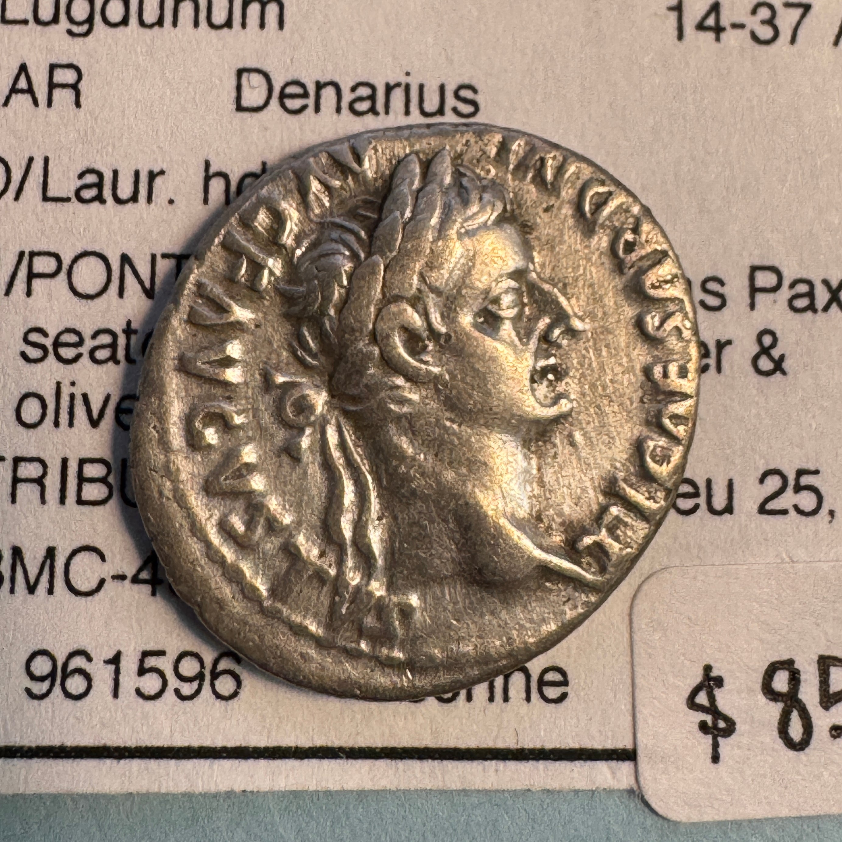 Tiberius (14-37 AD) AR Denarius, “Tribute Penny”, Roman Imperial, Rx: PAX seated rt. “Potif Maxim”