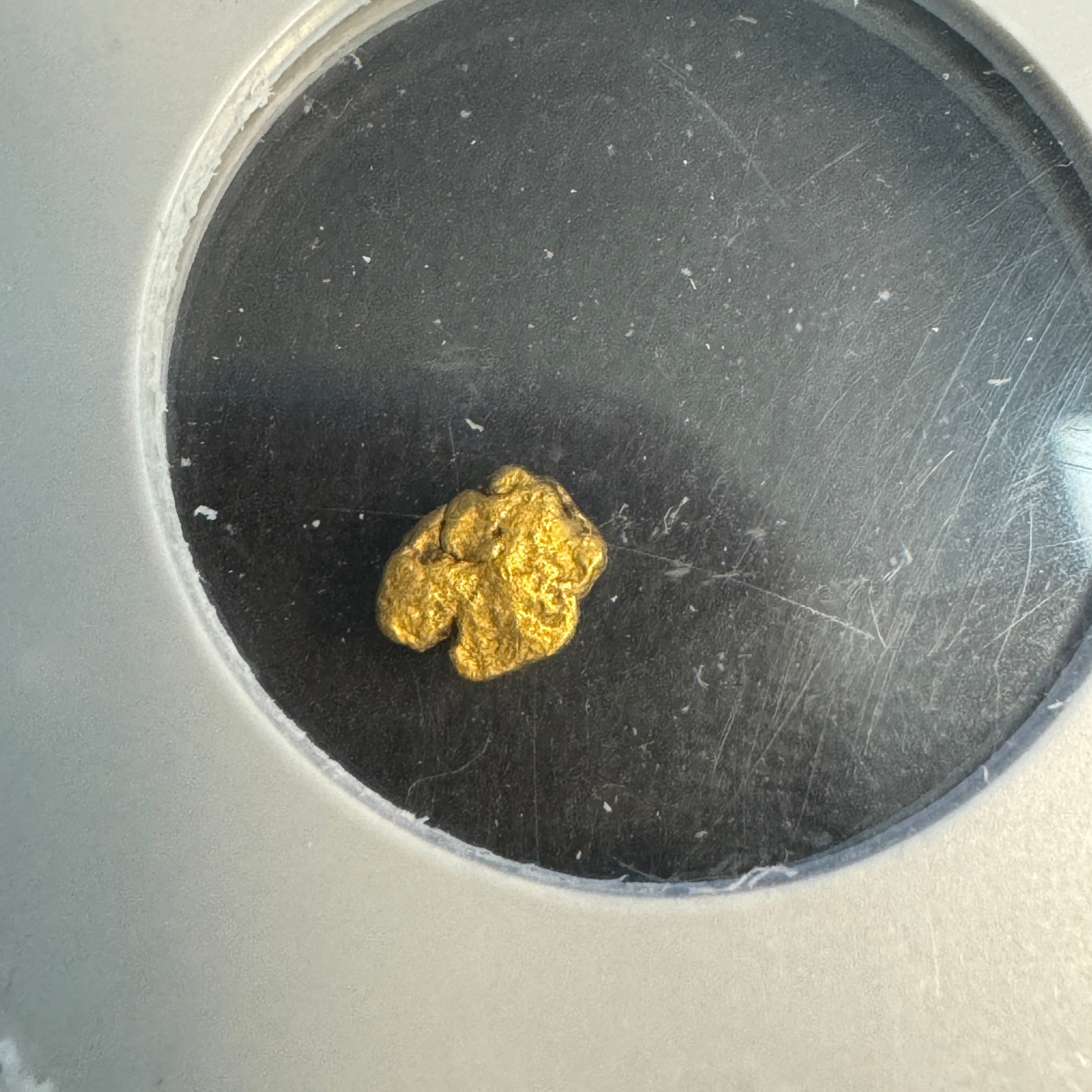 1857 SS Central America Shipwreck “California Gold Rush” 0.24g Gold Nugget, NGC Certified