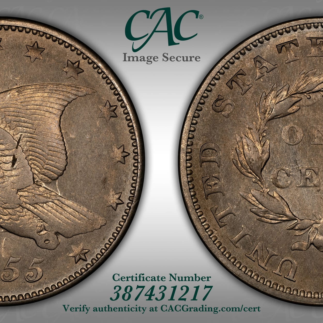 1855 1C J-171a PR62 CAC Pattern CACG 1 of 7 Known