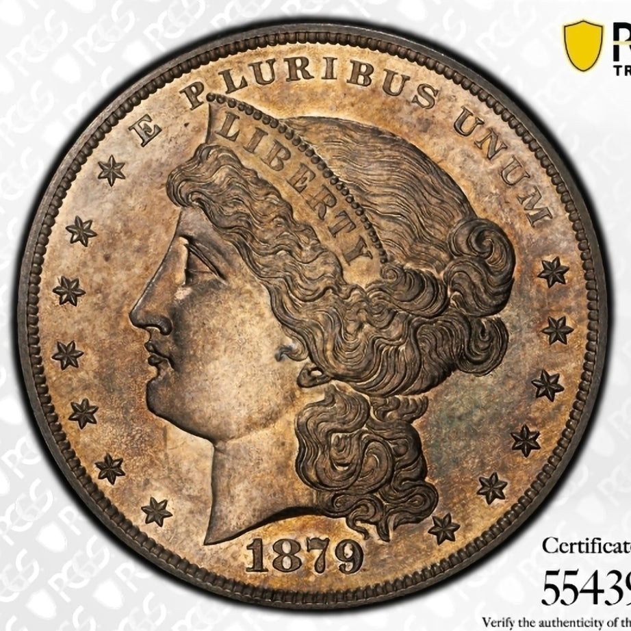 1879 $1 Goloid Metric Dollar, Judd-1617, Pollock-1813, R.4, PR61 PCGS Pattern 1 of 141 Made